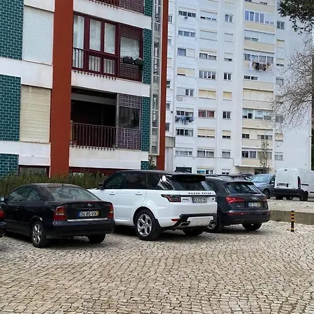 Next To The Trees Close From The Sea *