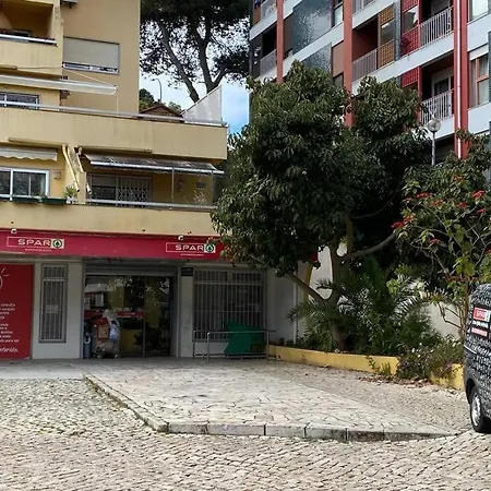 Apartment Next To The Trees Close From The Sea
